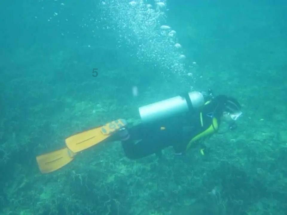 超级闪躲游戏